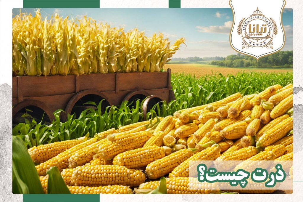 ذرت پاپکورن