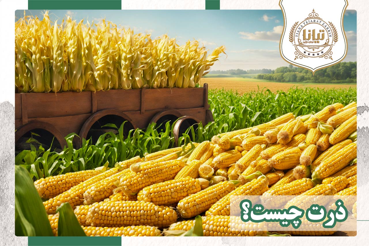 ذرت پاپکورن