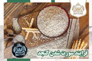 کنجد دبل سوررت