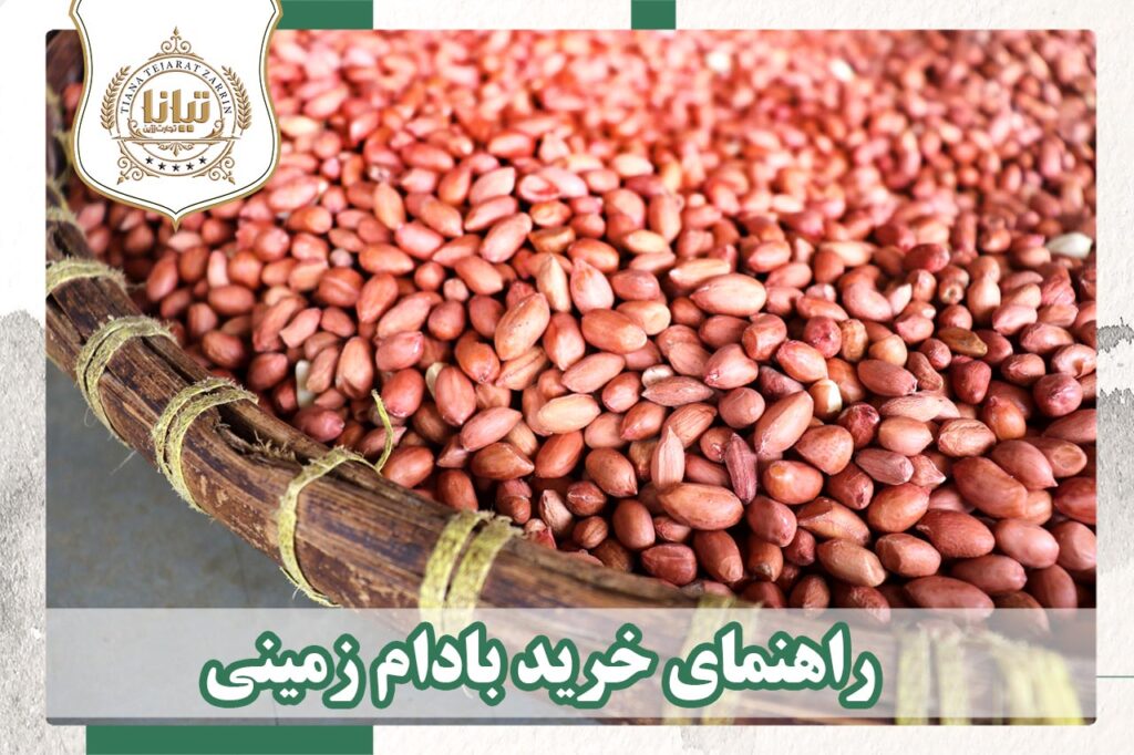خرید عمده بادام زمینی