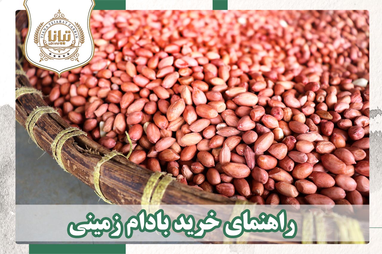 خرید عمده بادام زمینی