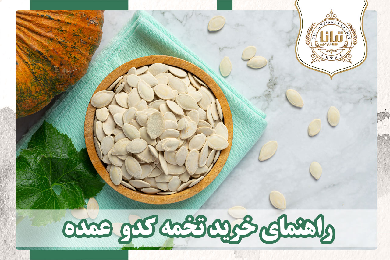 راهنمای خرید تخمه کدو عمده
